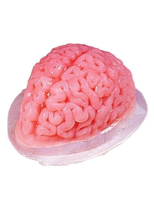 9-inch Brain Shaped Plastic Gelatin Mold - costumesupercenter.com
