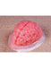 9-inch Brain Shaped Plastic Gelatin Mold - costumesupercenter.com