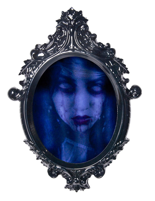 Framed Haunted Mirror - costumesupercenter.com