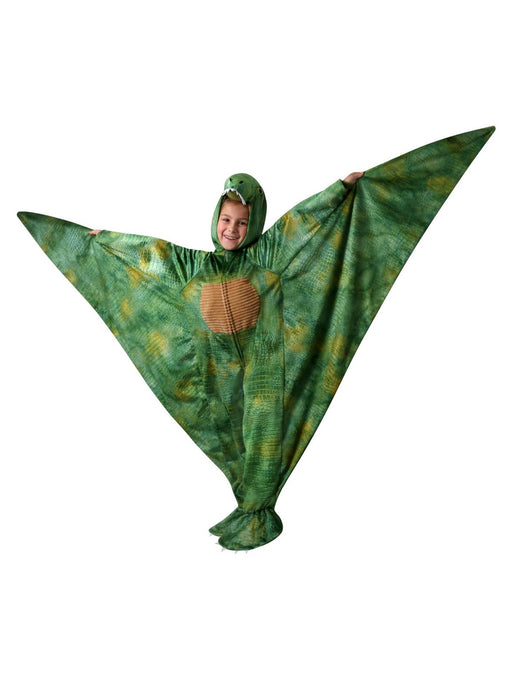 Boys' Pterry the Pterodactyl Costume - costumesupercenter.com