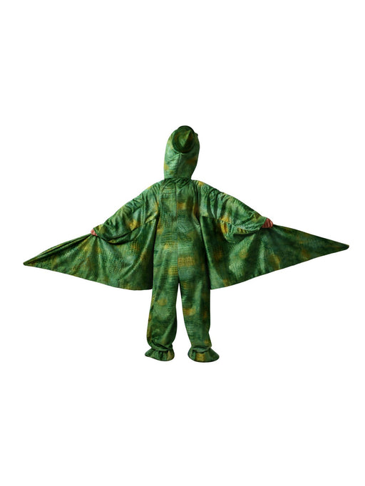 Kids Pterry the Pterodactyl Costume - costumesupercenter.com