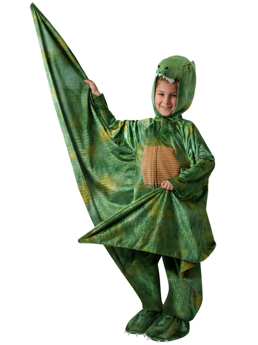 Kids Pterry the Pterodactyl Costume - costumesupercenter.com