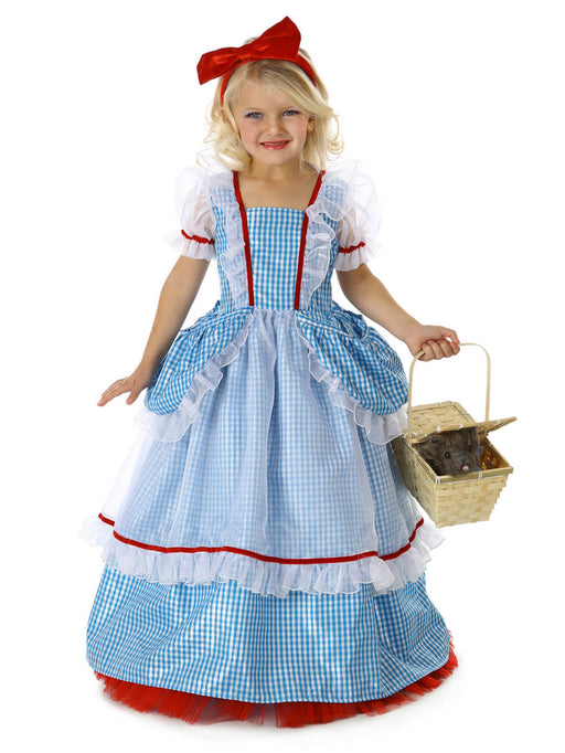 Pocket Princess The Wizard of Oz Dorothy Girls Costume - costumesupercenter.com