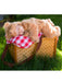 Baby/Toddler Snuggle Bear Costume - costumesupercenter.com