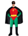 DC Comics Robin Adult Costume - costumesupercenter.com