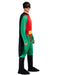 DC Comics Robin Adult Costume - costumesupercenter.com