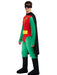 DC Comics Robin Adult Costume - costumesupercenter.com