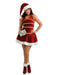 Women's Sexy Santa Dress Costume - costumesupercenter.com