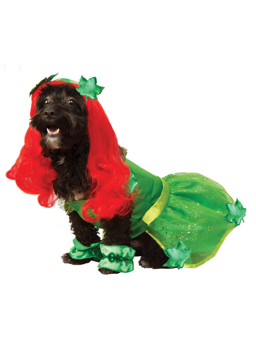 DC Comics Poison Ivy Pet Costume - costumesupercenter.com