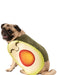 Pet Avocado Costume - costumesupercenter.com