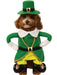 Pet Walking Leprechaun Costume - costumesupercenter.com