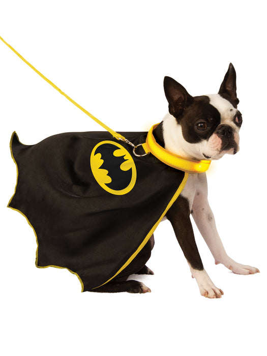 Pet Batman Pet Cape with Light up Collar and Leash Pet Costume - costumesupercenter.com