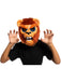 Adult Lion Un-Hinged Mask - costumesupercenter.com