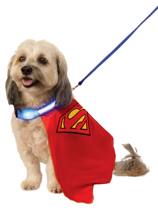 Pet Superman Pet Cape with Light up Collar and Leash Pet Costume - costumesupercenter.com