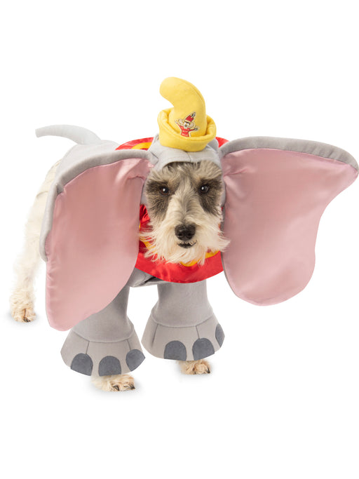 Pet Dumbo Costume - costumesupercenter.com