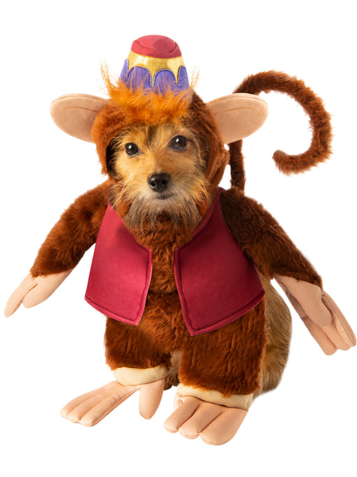 Aladdin Pet Costume - costumesupercenter.com