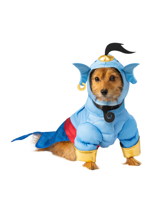 Pet Aladdin Genie Costume - costumesupercenter.com