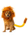 Pet The Lion King Simba Accessory Set - costumesupercenter.com