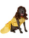 Pet Big Dogs Beauty and the Beast Belle Costume - costumesupercenter.com