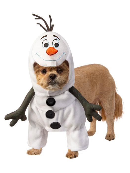 Frozen Olaf Pet Costume - costumesupercenter.com