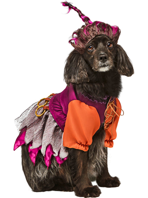 Hocus Pocus Mary Pet Costume - costumesupercenter.com