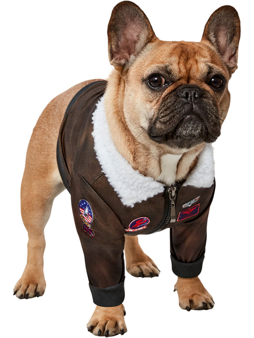 Top Gun Pet Costume - costumesupercenter.com