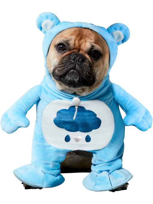 Care Bears: Grumpy Bear Pet Costume - costumesupercenter.com
