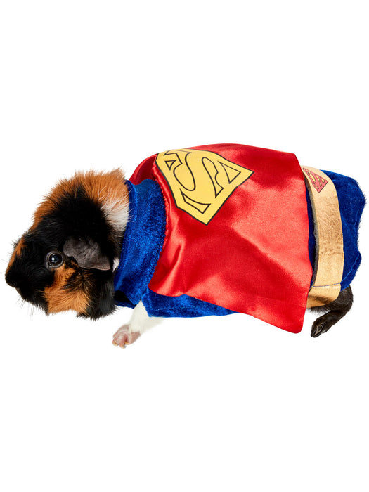 Small Pet Superman Costume - costumesupercenter.com