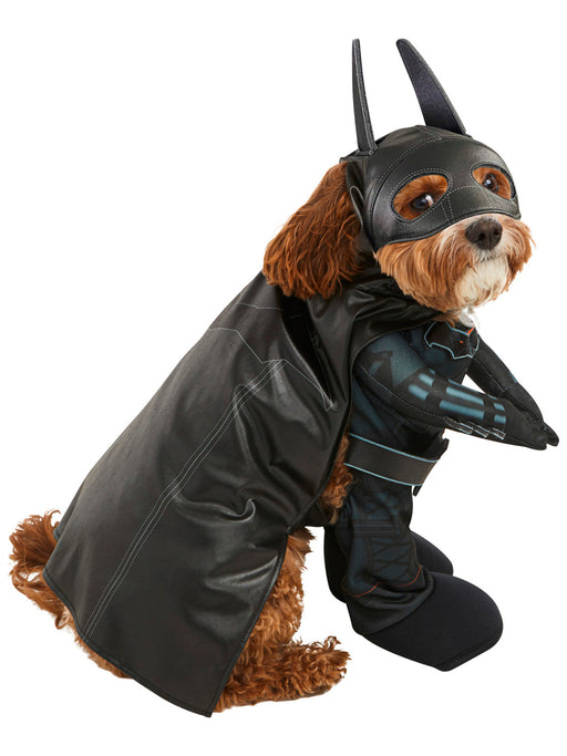 The Batman Pet Costume - costumesupercenter.com