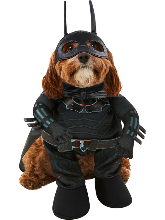 The Batman Pet Costume - costumesupercenter.com