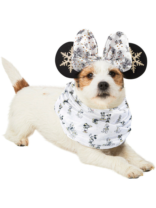 Pet Minnie Mouse Winter Holiday Accessory - costumesupercenter.com