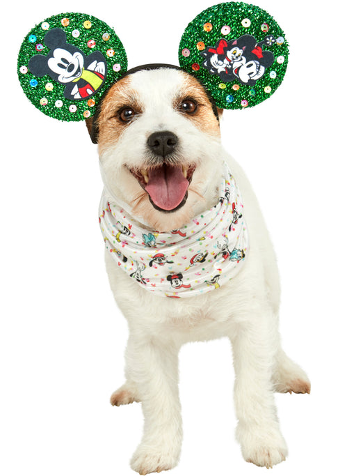 Pet Mickey Mouse Holiday Accessory - costumesupercenter.com