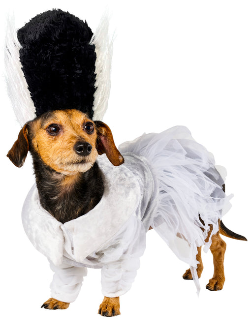 The Bride of Frankenstein Pet Costume - costumesupercenter.com