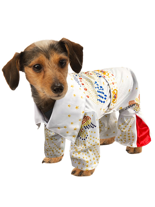 Elvis Presley Pet Costume - costumesupercenter.com