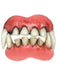 Adult Demon Teeth Accessory - costumesupercenter.com