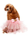 Pet Birthday Fairy Tutu Accessory - costumesupercenter.com