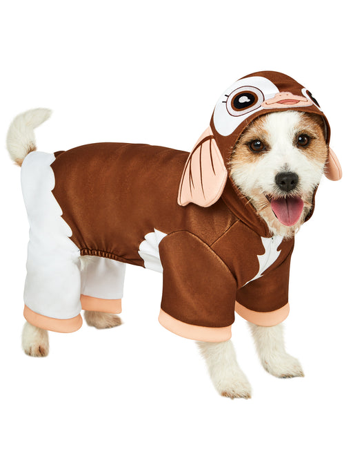 Gremlins Gizmo Pet Costume - costumesupercenter.com