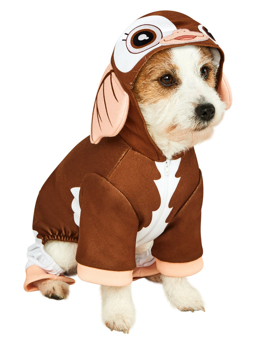 Gremlins Gizmo Pet Costume - costumesupercenter.com