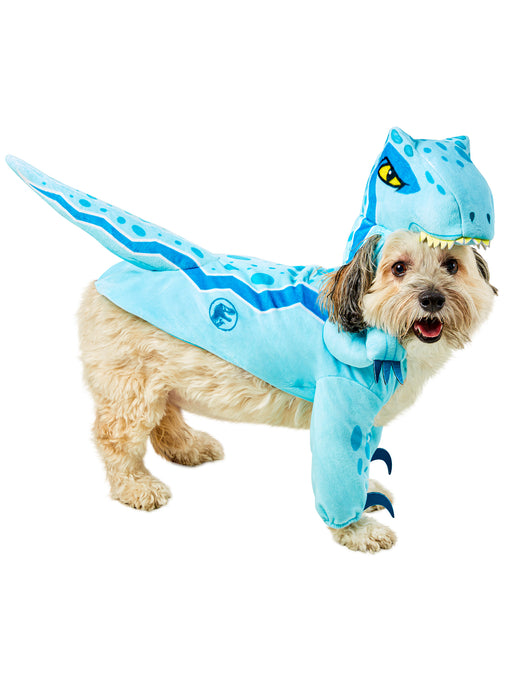 Jurassic World Blue Velociraptor Pet Costume - costumesupercenter.com