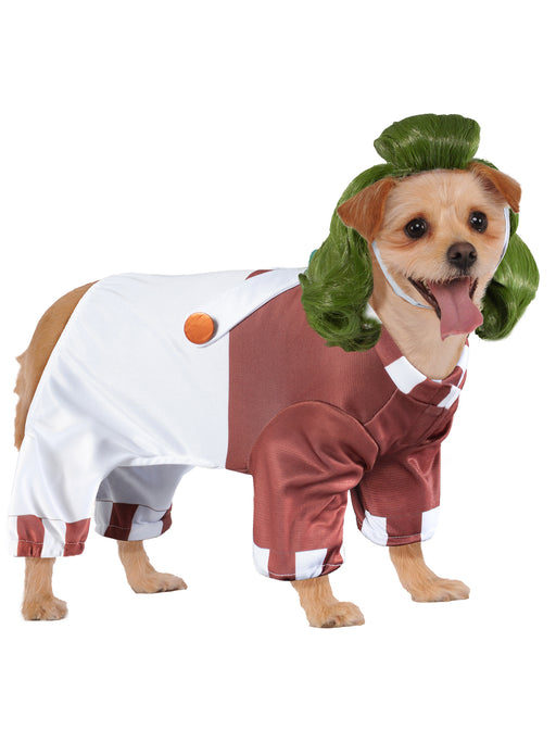 Willy Wonka Oompa Loompa Pet Costume - costumesupercenter.com