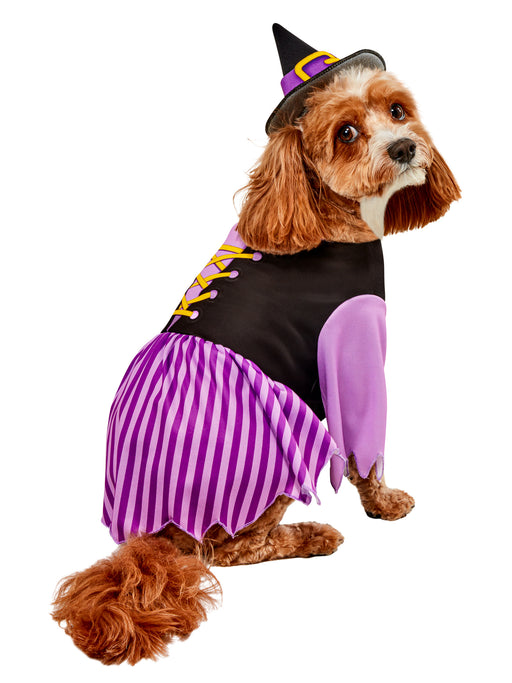 Purple Witch Pet Costume - costumesupercenter.com