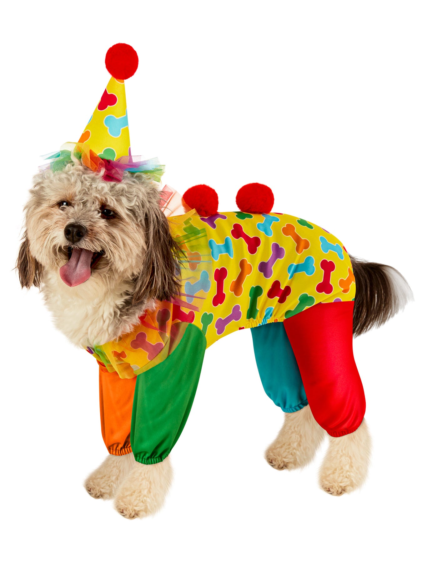 Pet Clowns & Circus