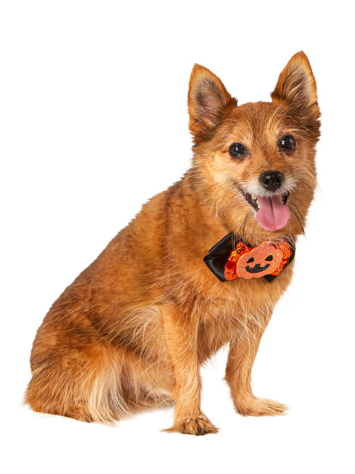 Jack-O-Lantern and Ghost Interchangeable Pet Collar Set - costumesupercenter.com