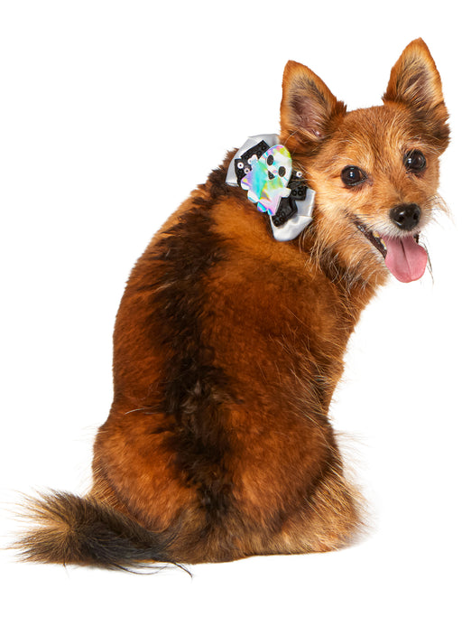 Jack-O-Lantern and Ghost Interchangeable Pet Collar Set - costumesupercenter.com
