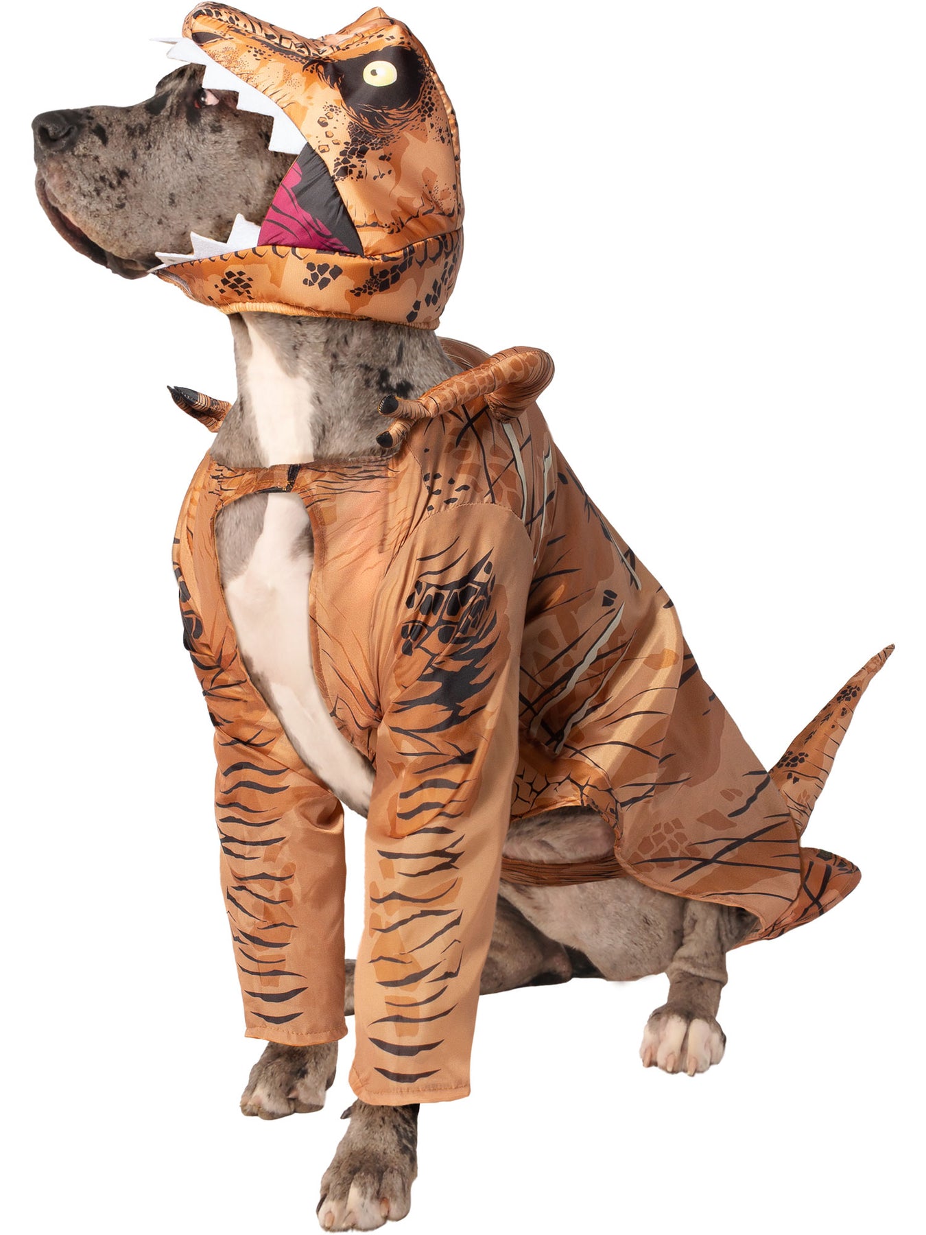 Jurassic World Costumes & Accessories