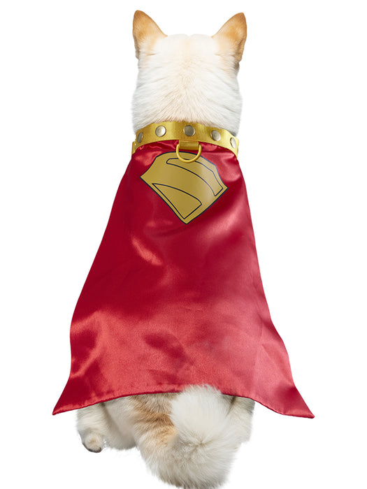 Supergirl Movie 2026 Krypto Pet Collar and Cape- Deluxe (PRE-ORDER) - costumesupercenter.com