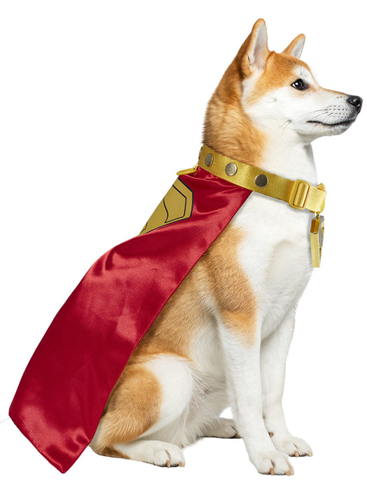 Supergirl Movie 2026 Krypto Pet Collar and Cape- Deluxe (PRE-ORDER) - costumesupercenter.com