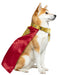 Supergirl Movie 2026 Krypto Pet Collar and Cape- Deluxe (PRE-ORDER) - costumesupercenter.com