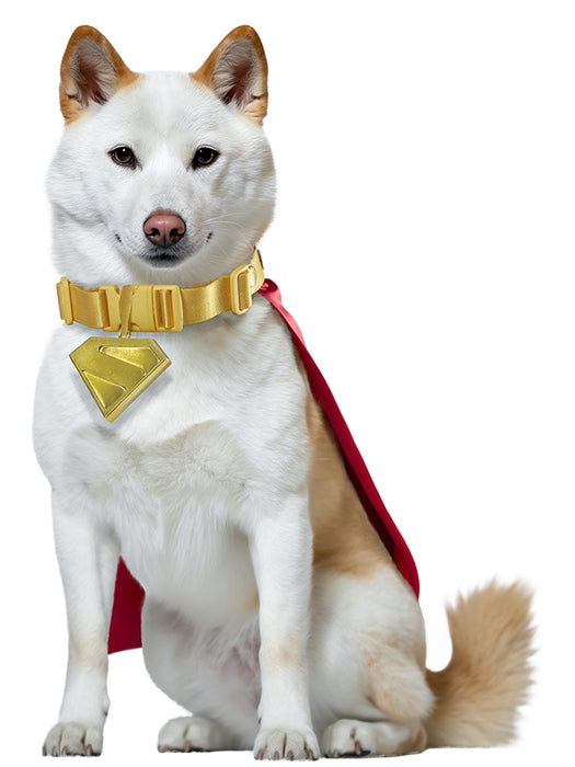 Supergirl Movie 2026 Krypto Pet Collar and Cape- Deluxe (PRE-ORDER) - costumesupercenter.com