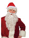 Santa Eyebrow Accessories - costumesupercenter.com